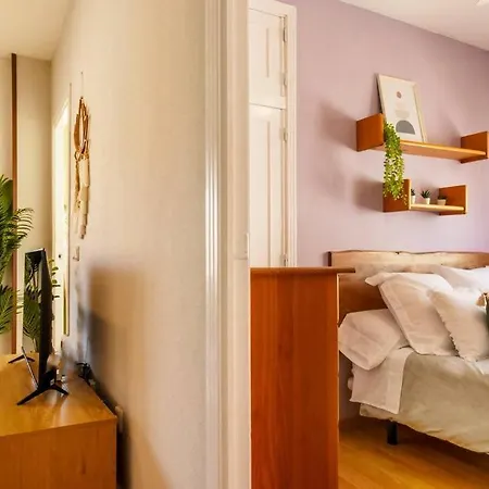 Paraiso Penthouse 또레비에하